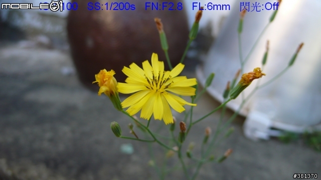 I LOVE MY  LX2