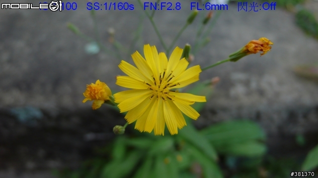 I LOVE MY  LX2
