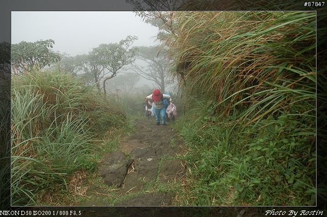 [D50]小油坑到七星山主峰(27pic)