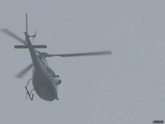 2006 上海國際賽車場 F1賽事