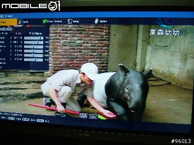 [pic] sharp 37' LCD TV 37GA5T