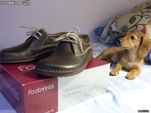 [天降好物]BIRKENSTOCK之Footprints鞋款