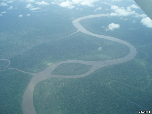 papua new guinea 那個有天堂鳥的國家