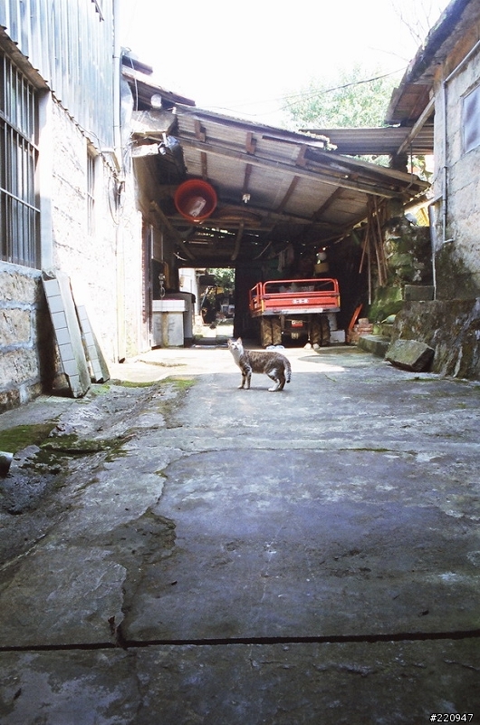 [分享]老爸的壓箱寶機械SLR--Pentax KX+SMC 50mm 1.4