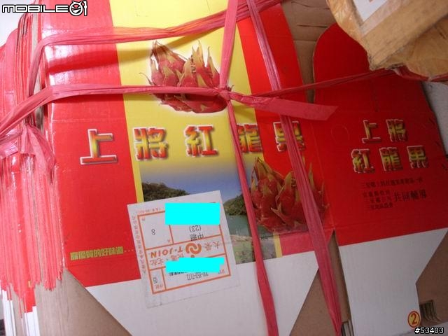 [中秋佳節愉快] 上將火龍果[中等大小] + 鶴岡文旦
