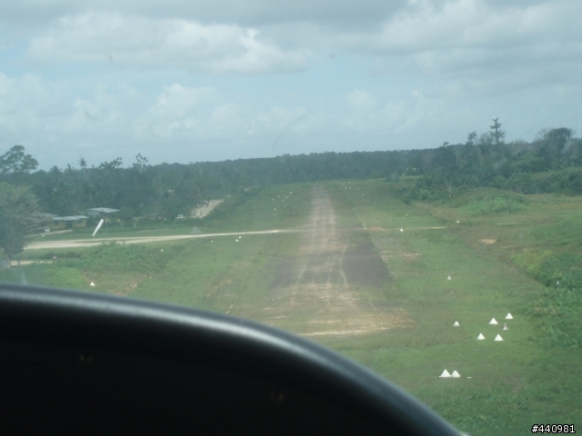 papua new guinea 那個有天堂鳥的國家