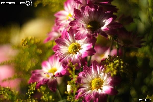 Canon 50mm 1.8II 入手