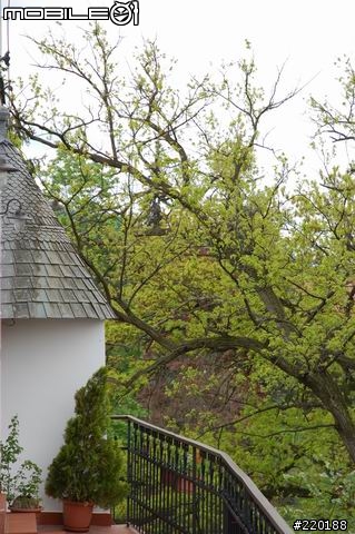 捷克春之行- Cesky Krumlov ~~ by Nikon D50