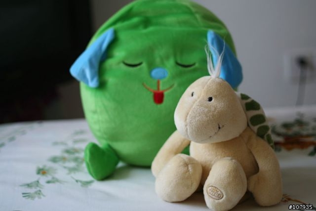 Canon 50mm F1.8 請各位大大幫忙分析一下為什麼拍出來效果還是沒有感覺?