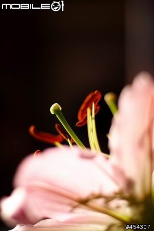 Canon 50mm 1.8II 入手