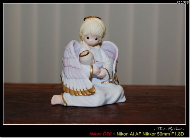 [分享]柔光罩 FOR SB-600 [12.1新增文訂實戰]