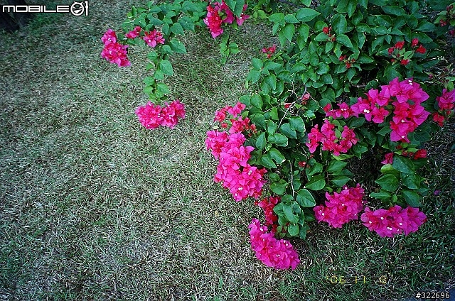 低調的享受 Fujifilm Natura Classica (圖多)--實拍篇