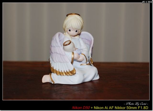 [分享]柔光罩 FOR SB-600 [12.1新增文訂實戰]