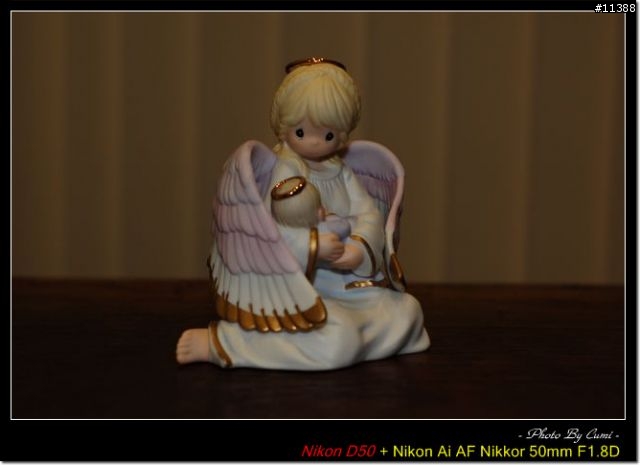 [分享]柔光罩 FOR SB-600 [12.1新增文訂實戰]