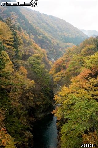 [分享] 關東群馬自由開車4天行