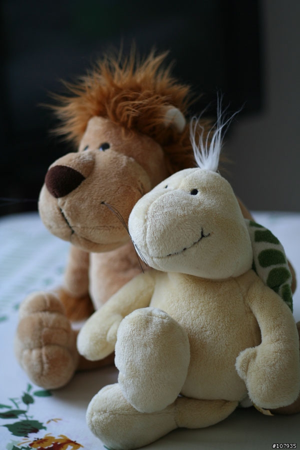 Canon 50mm F1.8 請各位大大幫忙分析一下為什麼拍出來效果還是沒有感覺?