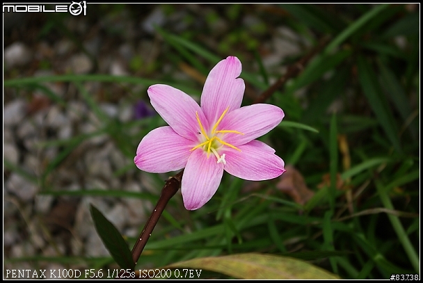 [K100D] 屏東竹田車站