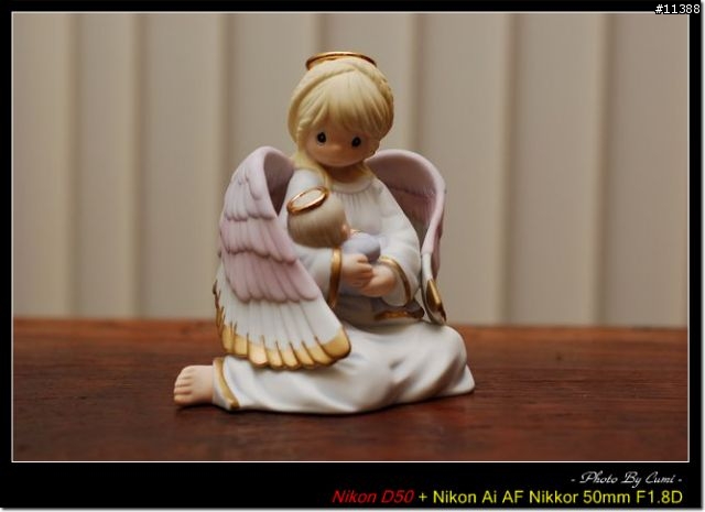 [分享]柔光罩 FOR SB-600 [12.1新增文訂實戰]