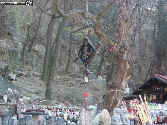 山東旅遊第三彈  東嶽--泰山（圖多）