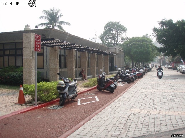 高雄愛河自行車道..半日行[圖多]