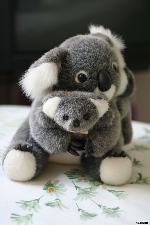 Canon 50mm F1.8 請各位大大幫忙分析一下為什麼拍出來效果還是沒有感覺?