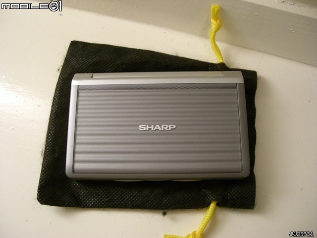 [分享] SHARP PW-E500A 英英電子字典