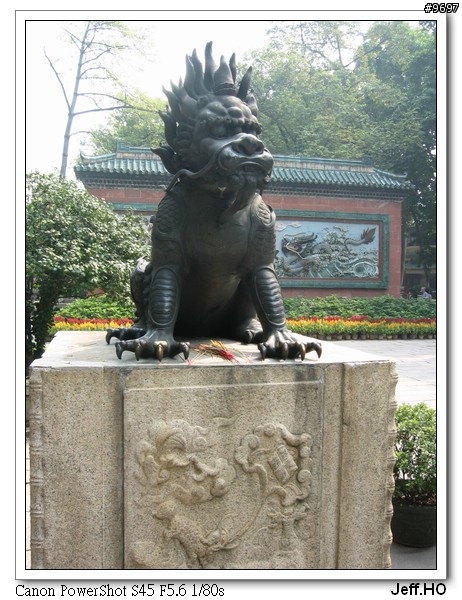[佛山之旅]去佛山學了無影腳囉~~~(圖多)