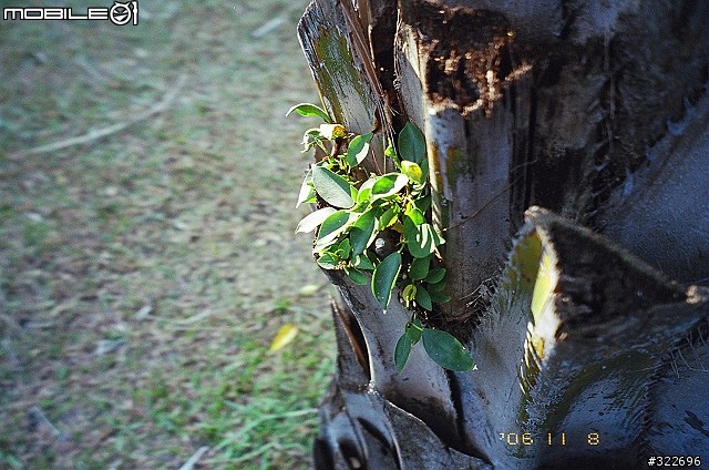 低調的享受 Fujifilm Natura Classica (圖多)--實拍篇