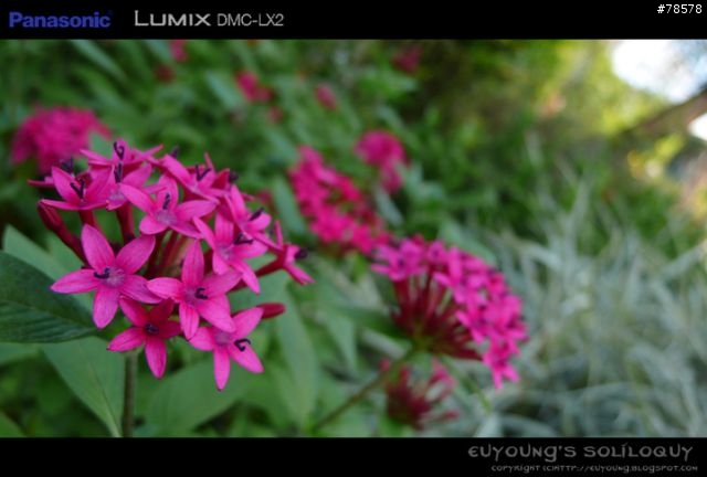 不一樣的寬廣大視界 - Panasonic LX2個人使用心得與不負責評測(Page2更新資料)