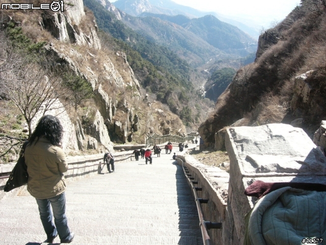 山東旅遊第三彈  東嶽--泰山（圖多）