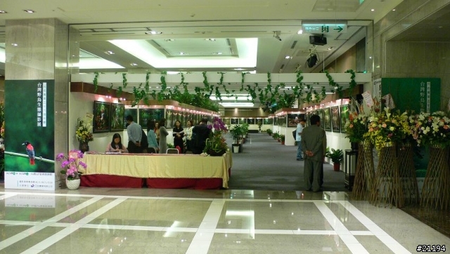 [推薦]台灣野鳥攝影展