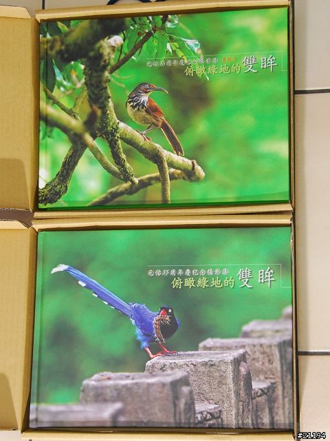 [分享]加持過的元佑週年慶攝影集 -- 俯瞰綠地的雙眸