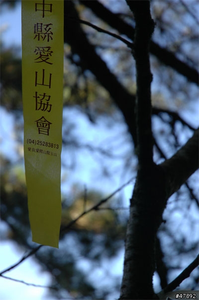 騎!...上台灣屋脊! 