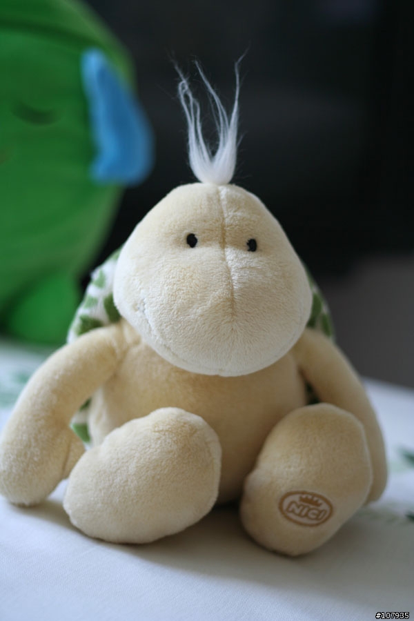 Canon 50mm F1.8 請各位大大幫忙分析一下為什麼拍出來效果還是沒有感覺?