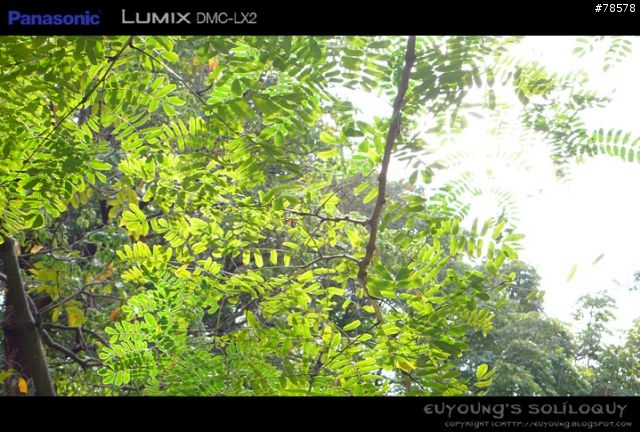 不一樣的寬廣大視界 - Panasonic LX2個人使用心得與不負責評測(Page2更新資料)