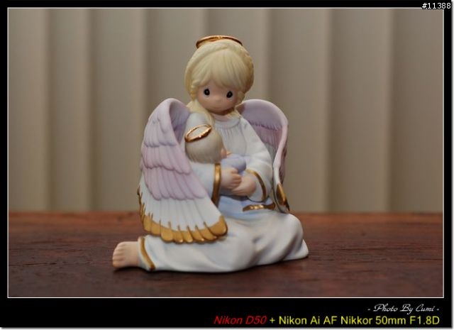 [分享]柔光罩 FOR SB-600 [12.1新增文訂實戰]