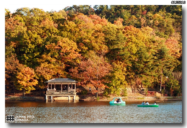 [Canon EOS KissDN]京都寶池公園 - 寧靜秋景 -