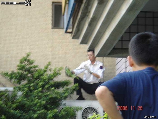 今天天氣真好 連蜥蜴都忍不住出來曬太陽