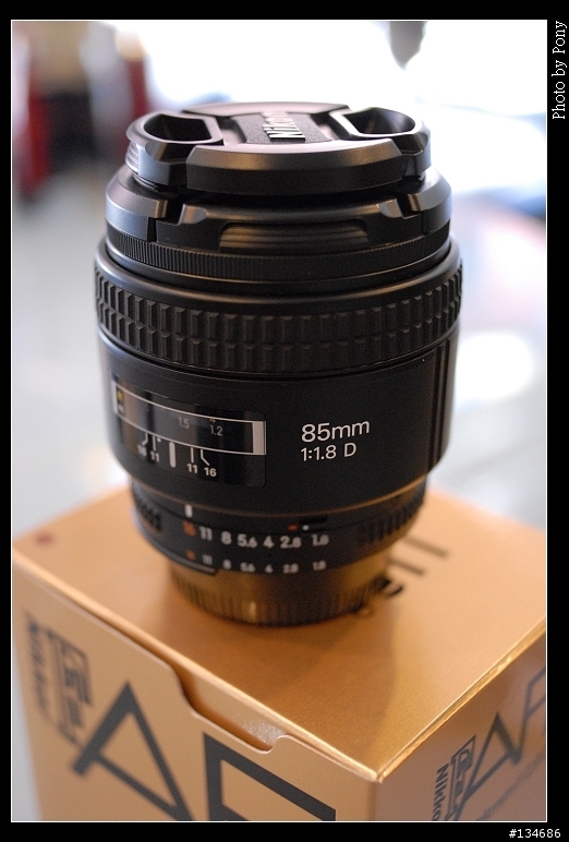 聖誕小黑貓叼來  Nikon AF 28mm F2.8D