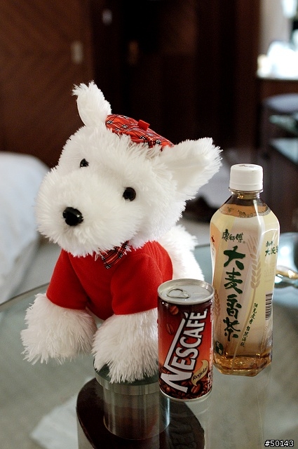 [分享][更新]聖誕應景禮物-雪白絨毛元氣娃娃狗