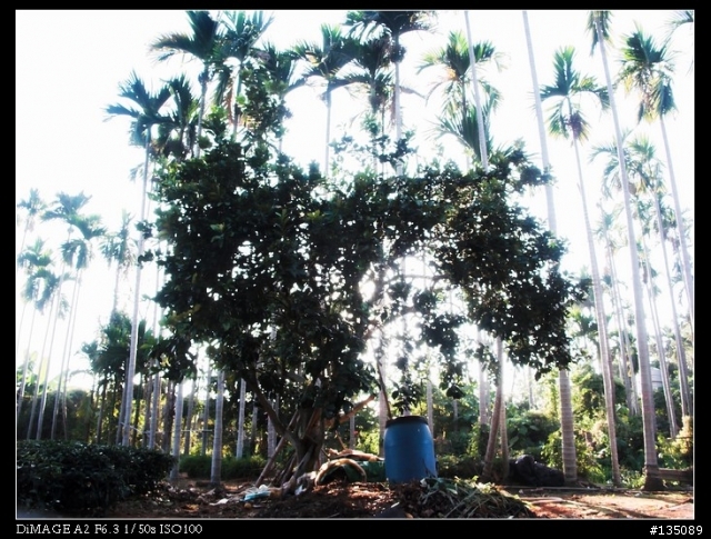 [求助]新手上路，煩請指導構圖..!