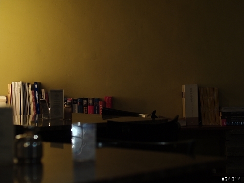 Leica SUMMICRON-R 50mm 老鏡 V.S. OM Zuiko 50mm 老鏡 on Olympus E-1