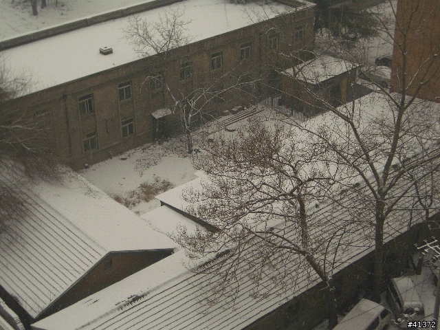 北京下雪了~