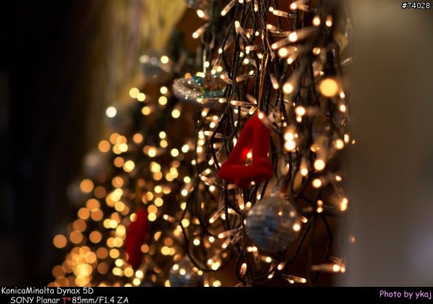 新品種日本大根~SONY Planar T* 85mm/F1.4 ZA (補上實拍照)
