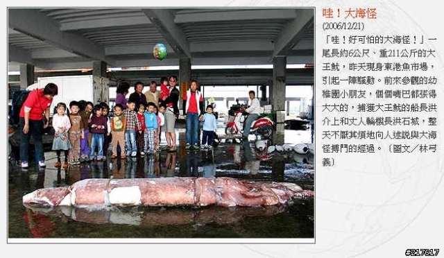 這隻魷魚要如何烤？