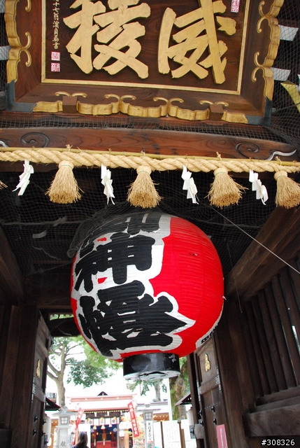 d80+18-200 VR的首次外拍