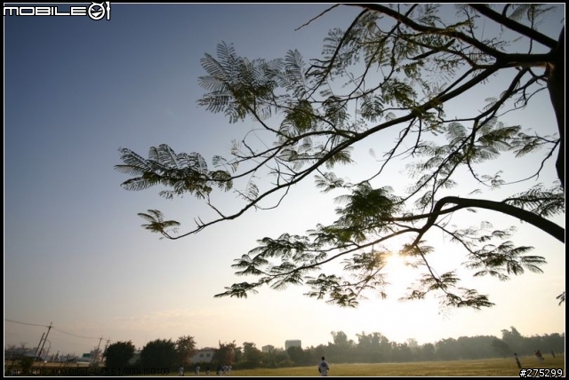 分享SIGMA 10-20mm F4-5.6超廣角鏡+我的佳能鏡家族