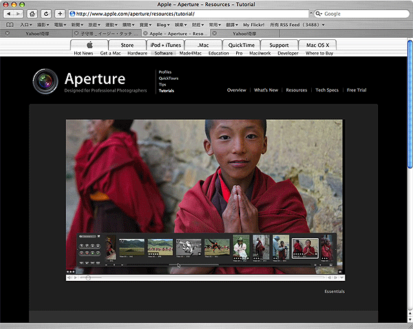 [求助]Firefox 瀏覽器 QuickTime的播放問題