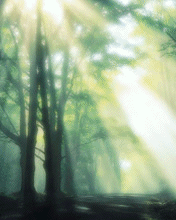 [Z550-Z558i]主題『聖劍傳說4』