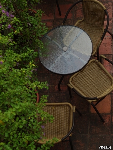 Leica SUMMICRON-R 50mm 老鏡 V.S. OM Zuiko 50mm 老鏡 on Olympus E-1